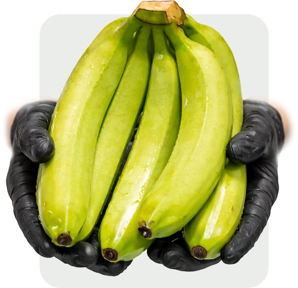 Banano ecuatoriano
