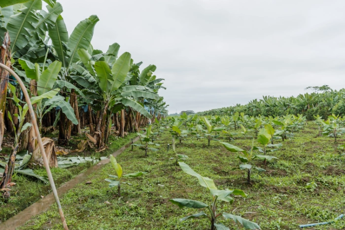Sostenibilidad responsable