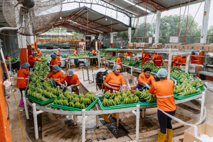 Calidad, transparencia y trazabilidad